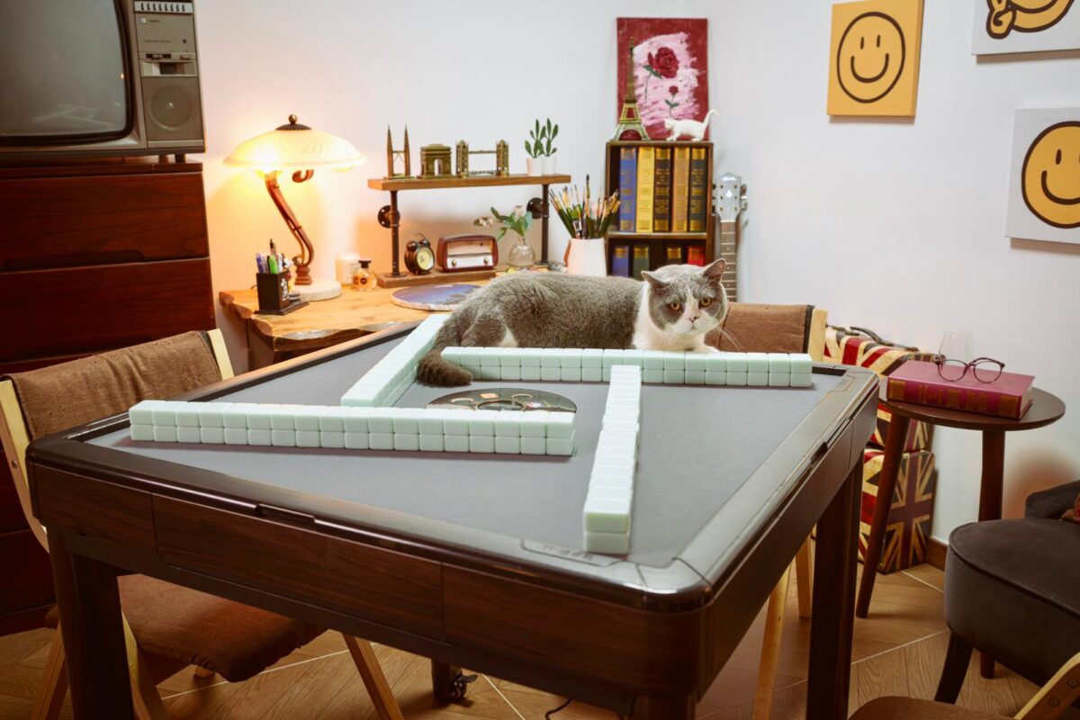 Puzzle Studio